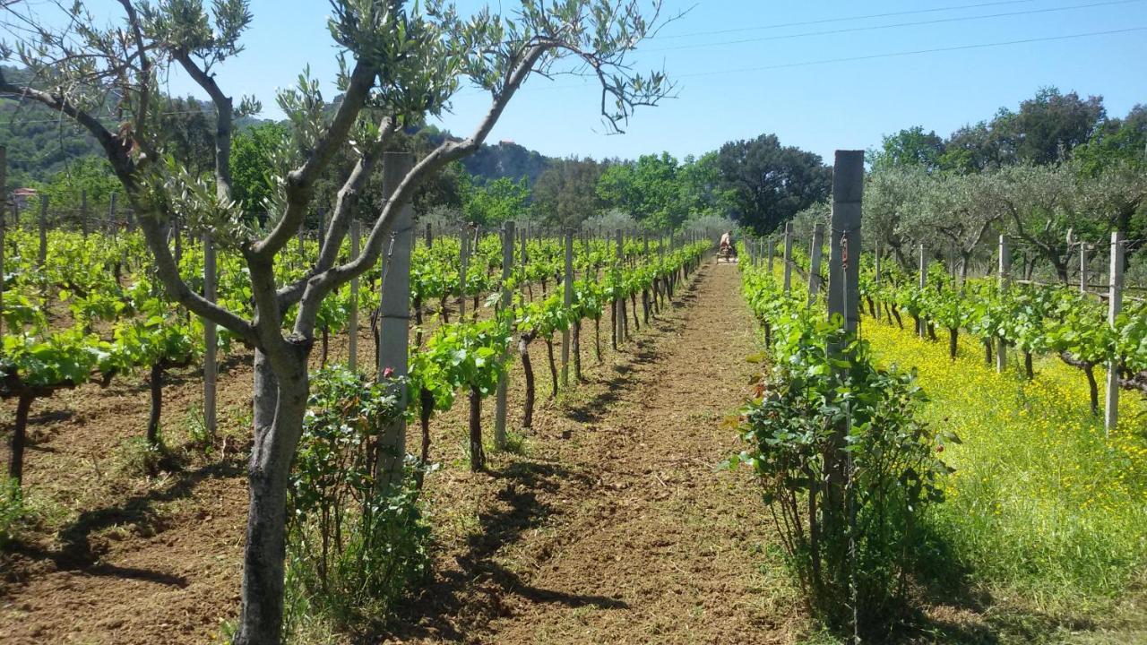 Agrilao Villa Scalea Dış mekan fotoğraf